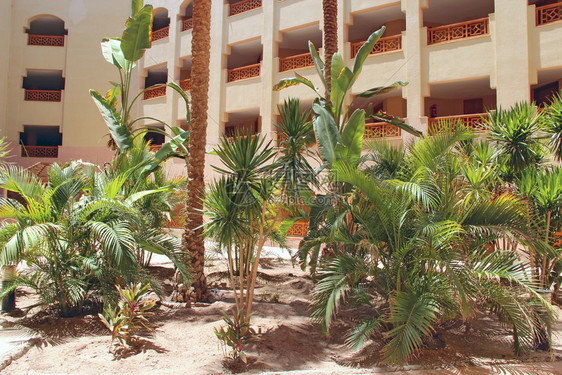 美丽的蓝色全景带棕榈树度假村建筑景观埃及度假村热带期阳台的酒店建筑现代阿拉伯建筑靠近的枣椰树带棕榈的度假村建筑景观图片