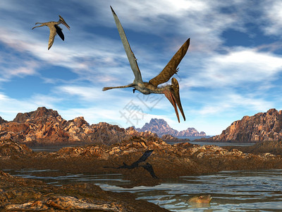 古生物学强大的翼手龙在日落光下水面上飞行3D渲染翼手龙在水上飞行渲染翼龙图片
