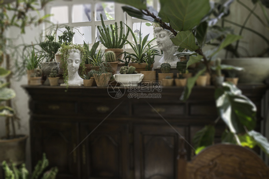 装饰客厅室内风格绿色生态环境配有植物和存货照片的绿色生态环境房间内部的明亮图片