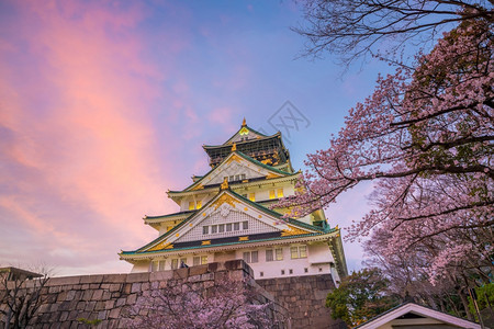 大阪城堡日本樱花满天开黄昏日本人满的图片