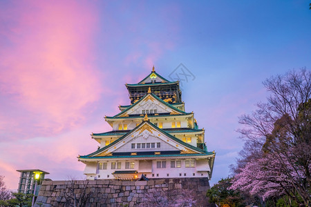 著名的季节大阪城堡日本樱花满天开自然图片
