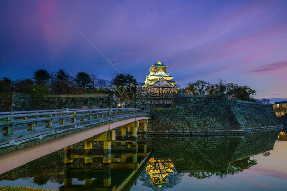 公园开花照明大阪城堡日本樱花满天开图片