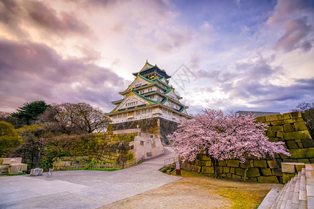 点亮地标开花大阪城堡日本樱花满天开图片