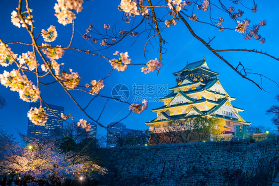 天空大阪城堡日本樱花满天开人古老的图片
