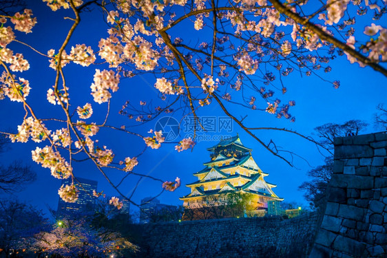 季节花园大阪城堡日本樱花满天开地标图片