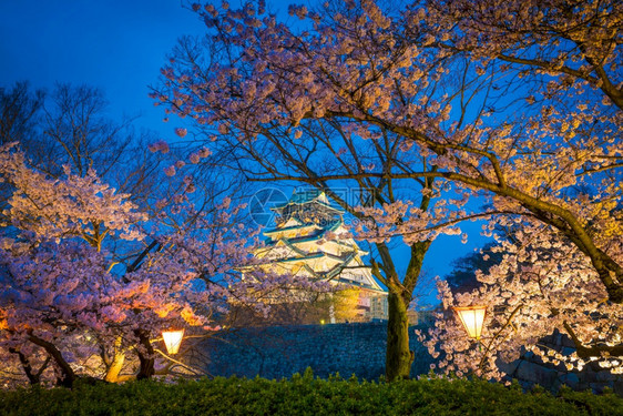 叶子大阪城堡日本樱花满天开见图片