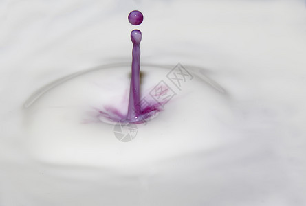 自然寒冷的鲜奶中紫色美丽喷洒酸奶图片
