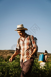 手动的青年农民喷洒有机肥料身戴旧帽子和格衬衫的人工水泵罐保护的化学图片