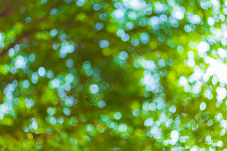 公园圣诞节花带有圆环的绿色bokeh背景夏季抽象主题图片