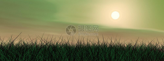 绿色草和日落云彩多绿色夕阳3D化乡村的晚上太阳图片