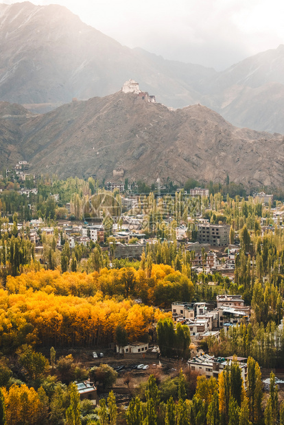 路美丽的岩石北部LehLadakh区秋天风景北部图片