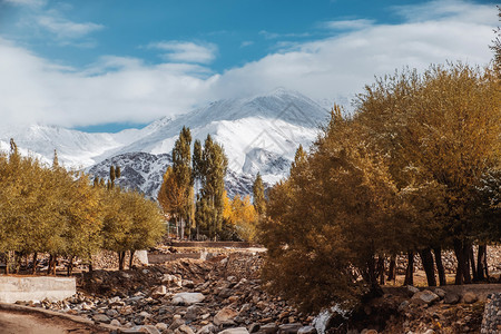 冬天自然白色的北部LehLadakh区秋天风景北部图片