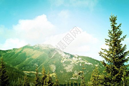 塔特拉山区GiewontMountain山的自然清除绿色最佳图片