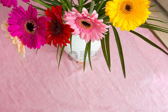 粉红色背景的白花瓶中一束粉红色雏菊上方是五颜六色的花朵绿礼物粉的图片