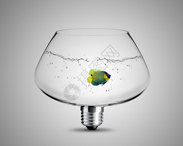 鱼气泡用鱼碗灯泡概念图象制成的灯泡发明营销智力背景