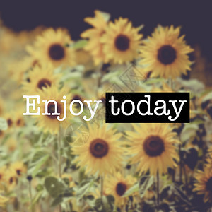 快乐的花海报引人灵感的动机引用享受今天吧向日葵场图片