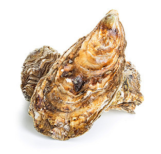 在白色背景上隔离的牡蛎熟食可口传统的图片
