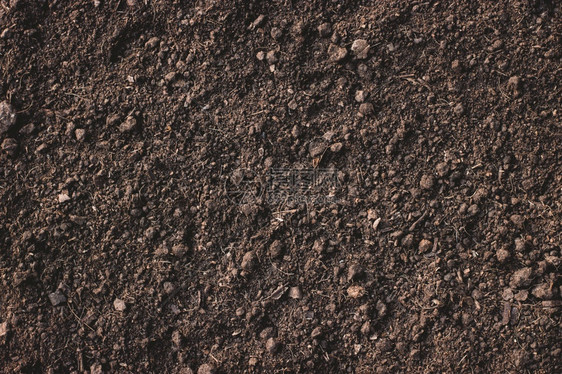 土壤质地背景用于种植的肥料土壤根黑色的干燥图片
