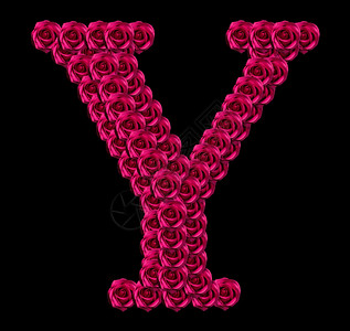 大写黑色字母黑色的花束由红玫瑰制成的大写字母y浪漫概念形象孤立在