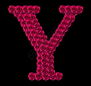 黑色的花束由红玫瑰制成的大写字母Y浪漫概念形象孤立在黑色背景上为爱情或人节主题设计元素华丽的图片
