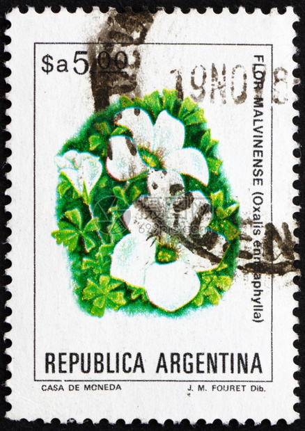 邮资办公室复古的阿根廷大约1983年阿根廷印有一张邮票上面显示坏血酢浆草植物大约年图片