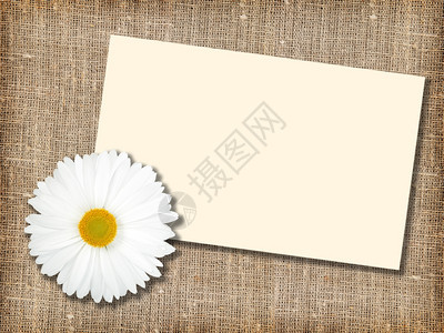 问候卡信息静物一朵白色花在纺织背景上印有贺卡的白花关闭工作室摄影图片