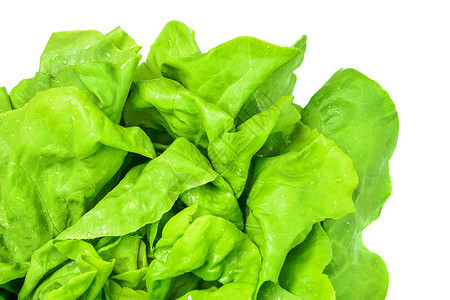 蔬菜吃生的新鲜绿色菜顶端视图上面有白色背景的水滴特写详细节图片