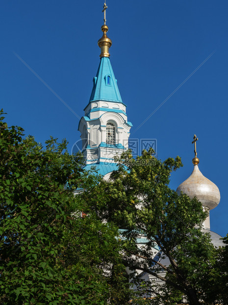 在蓝天空的圆顶背景上周围都是树丛救主俄罗斯图片