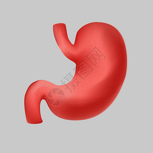 吃人类现实的胃象形矢量平方图示卡通内器官符号消化系统解剖图设计在白色背景上孤立人类现实的胃指示面向矢量平方图绘制在白色背景上隔离图片