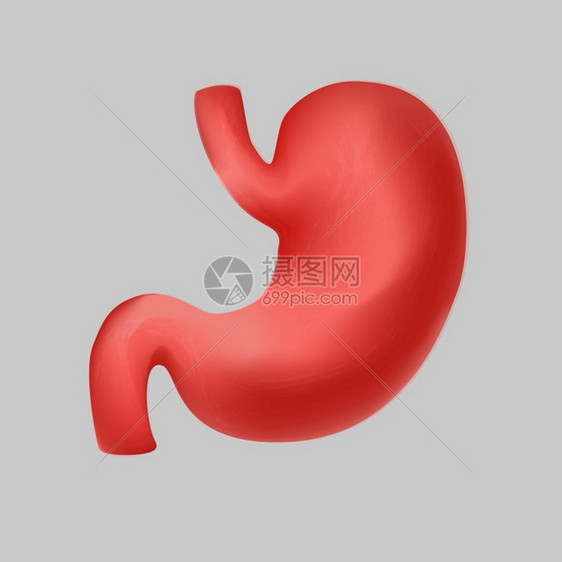 吃人类现实的胃象形矢量平方图示卡通内器官符号消化系统解剖图设计在白色背景上孤立人类现实的胃指示面向矢量平方图绘制在白色背景上隔离图片