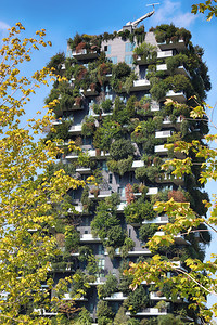 生态BoscoVerticale2019年月25日意大利米兰VerticalFores和由StefanoBoeri设计的新公园P图片