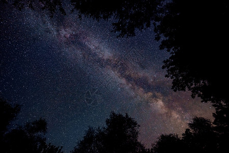 黄昏天文学闪亮的星空与银状天穿过树木图片