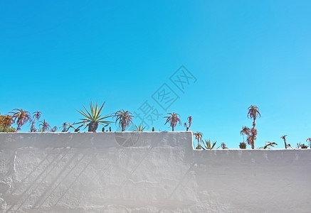 气候马略卡岛户外9月在西班牙马洛卡Mallorca与绿色亚热带植物对抗蓝色天空的白野墙图片