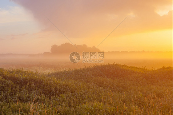 场地夏天日落时福吉草地背景为森林麦道图片