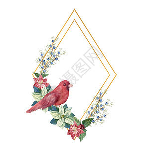 白色的金几何框架包括冬季dcor和红鸟水彩圣诞插图金色几何框架冬季dcr和红鸟水彩画圣诞节插图植物学优雅背景图片