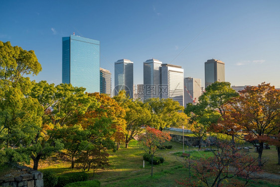 秋季城市风光图片