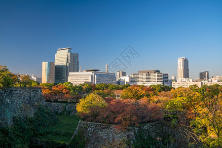 日本大阪市秋季风光图片