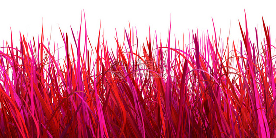 天郁葱白色背景上孤立的红色草3D插图景观图片