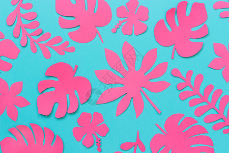 热带树叶图案蓝色背景上流行的粉色热带纸叶平铺自上而下的构图创意纸艺蓝色背景上的时尚粉色热带纸叶平躺创意纸艺龟背竹假期叶子图片