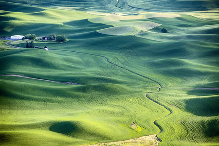 农场人们在华盛顿东部Palouse地区的小麦田和农山丘周围流着一条溪的河床导致左上方有一个农舍绿色图片