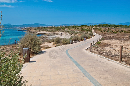 夏令在西班牙马洛卡Mallorca的阳光明媚夏季日上带凉水的横跨海岸地貌双车道蓝色自然图片