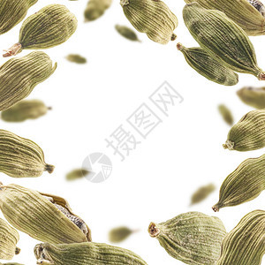东方的调味品草本植物豆蔻荚漂浮在白色背景上豆蔻荚漂浮在白色背景上图片