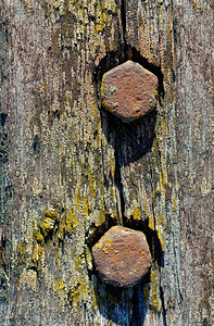 质地背景和纹理旧的有风气木板上两根生锈螺丝在旧的木板上Rusty螺丝自然铁图片