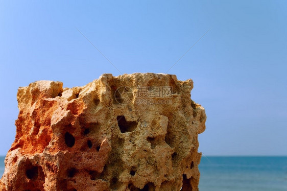 贝壳在背景海上有深洞的石灰岩沉积根据螺旋图片