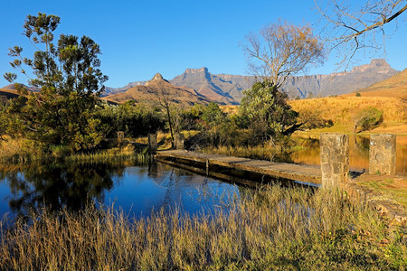 早晨期的南非皇家纳塔尔国公园Drakensberg山脉背景下的风池南非Natal公园平静的图片