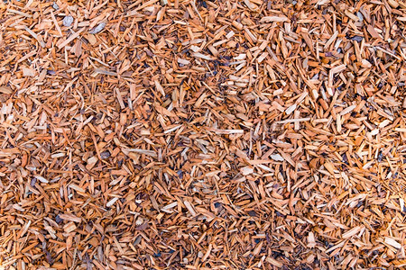 撕碎花园切碎的粗糙地面上作为背景的木屑小块柴背景