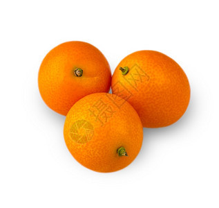 三个美味的Kumquat雕刻在白色背景上亚热带食物生产图片