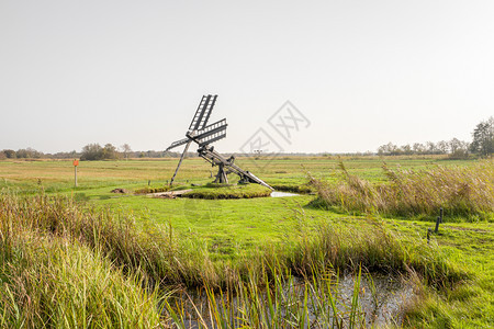 荷兰语芦苇弗里斯帕特贾克风车图片