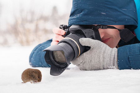 相机寒冷的坐着年轻摄影师拍木鼠ApodemusSylvaticus在雪上的大型照片图片