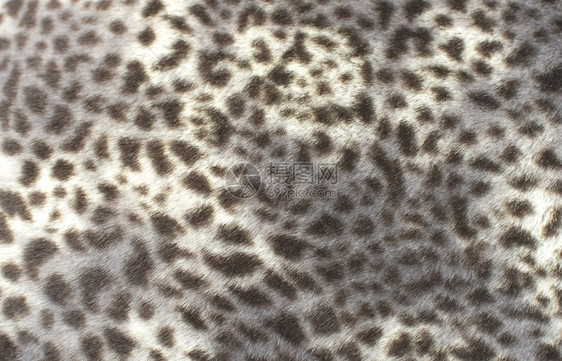 野生物印刷风格假豹毛皮型图案fakeleopardfur墙纸猫科动物非洲图片